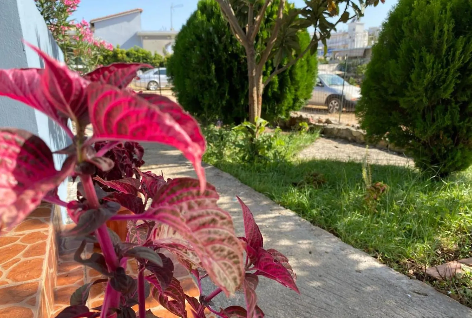 Fishery Guesthouse Ksamil