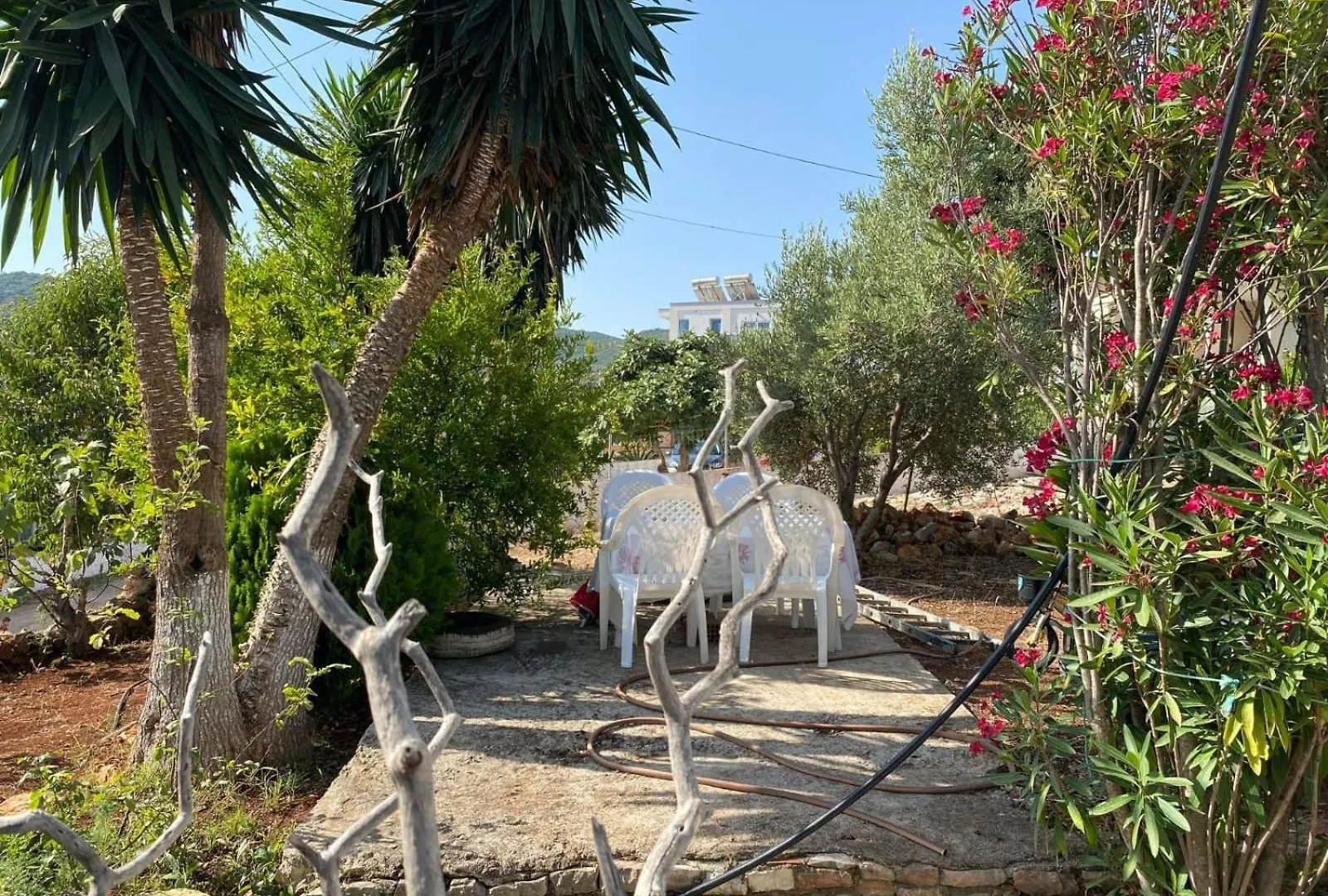 Fishery Guesthouse Ksamil 0*,